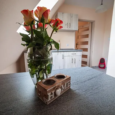 U Ilony בית אירוח *